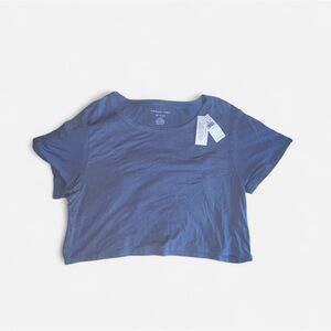 American Eagle Outfitters Blue Crop Top
